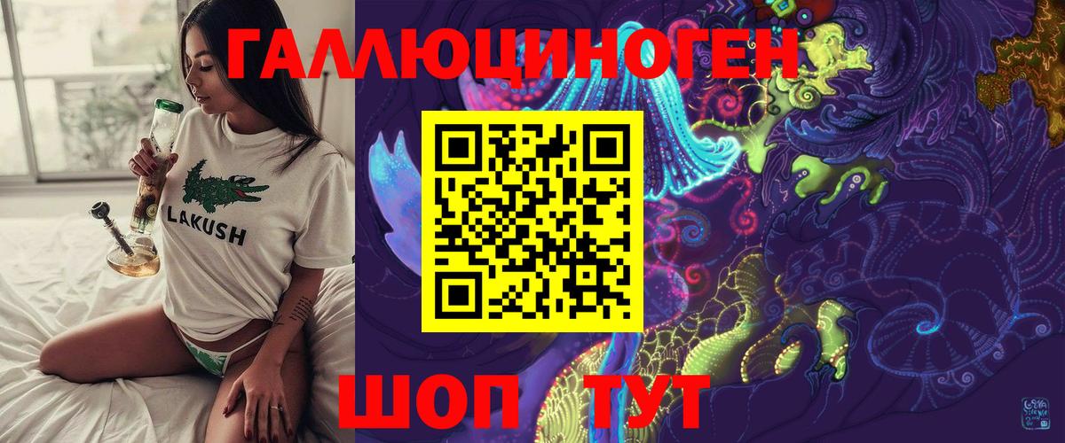 Галлюциногенные грибы мухоморы Нововоронеж