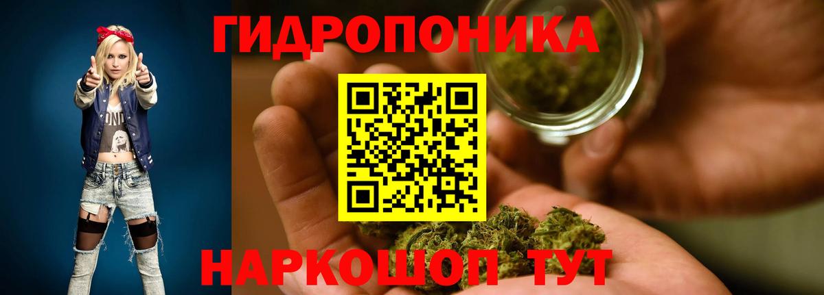 Шишки марихуана SATIVA & INDICA  Вход с VPN  Бошки марихуана тримм  Нововоронеж 